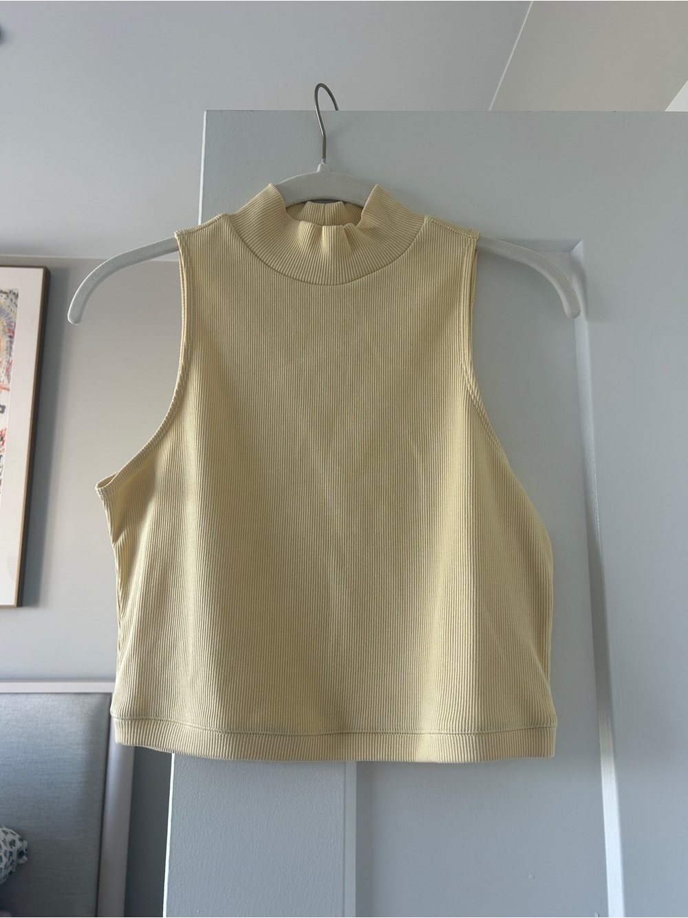 Everlane Sleeveless Mock Neck Ribbed Tank Top